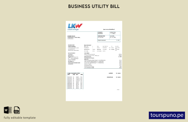 lista para imprimir plantilla de factura de servicios públicos de electricidad 5